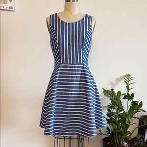 Vineyard Vines Blue and White Fit and Flare Mini Dress